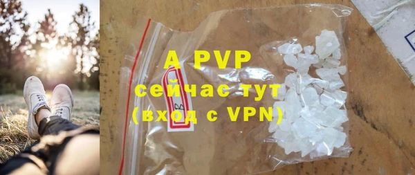 apvp Верея