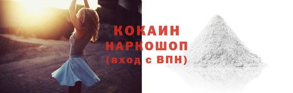 apvp Верея