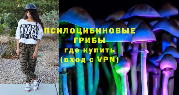 дурь Верхний Тагил