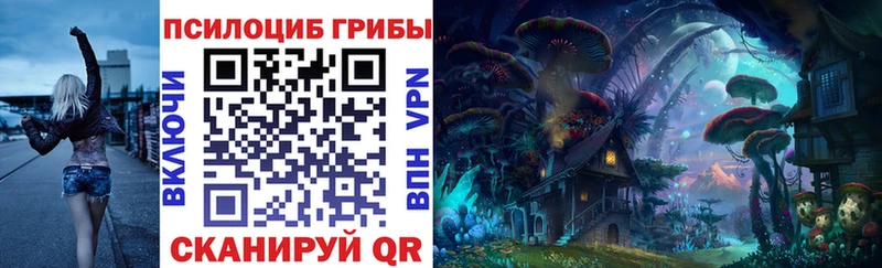 Купить  Инта  Псилоцибиновые грибы Psilocybine cubensis 